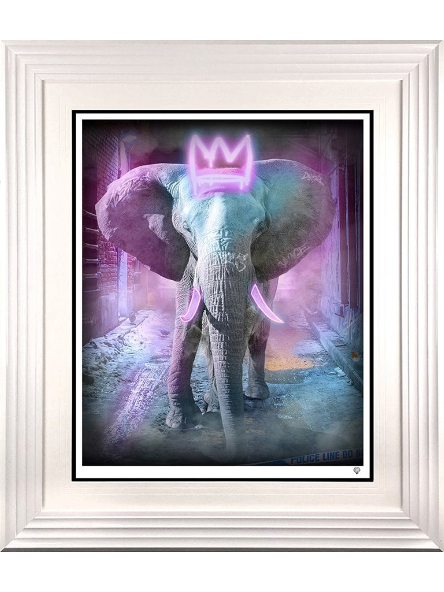Young Bull (neon pink)
