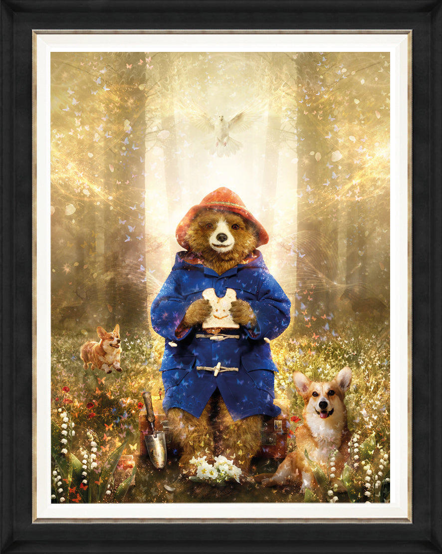 Where Memories Take Flight (Paddington Bear)
