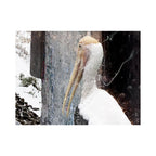 Perfection Through The Eyes Of A Stork (Dumbo)