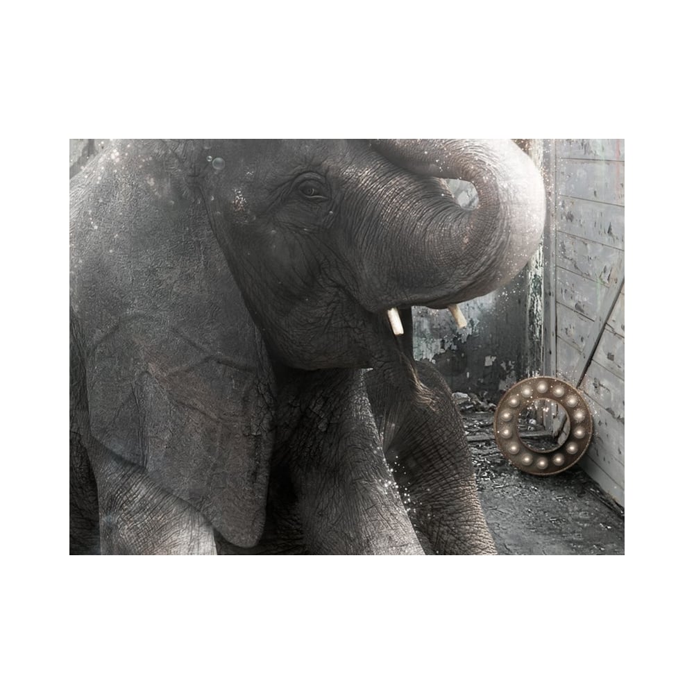 Perfection Through The Eyes Of A Stork (Dumbo)