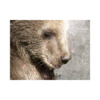 A Letter to Aunt Lucy (Paddington Bear)