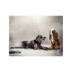I'd Give My Last Meatball (Lady & The Tramp)