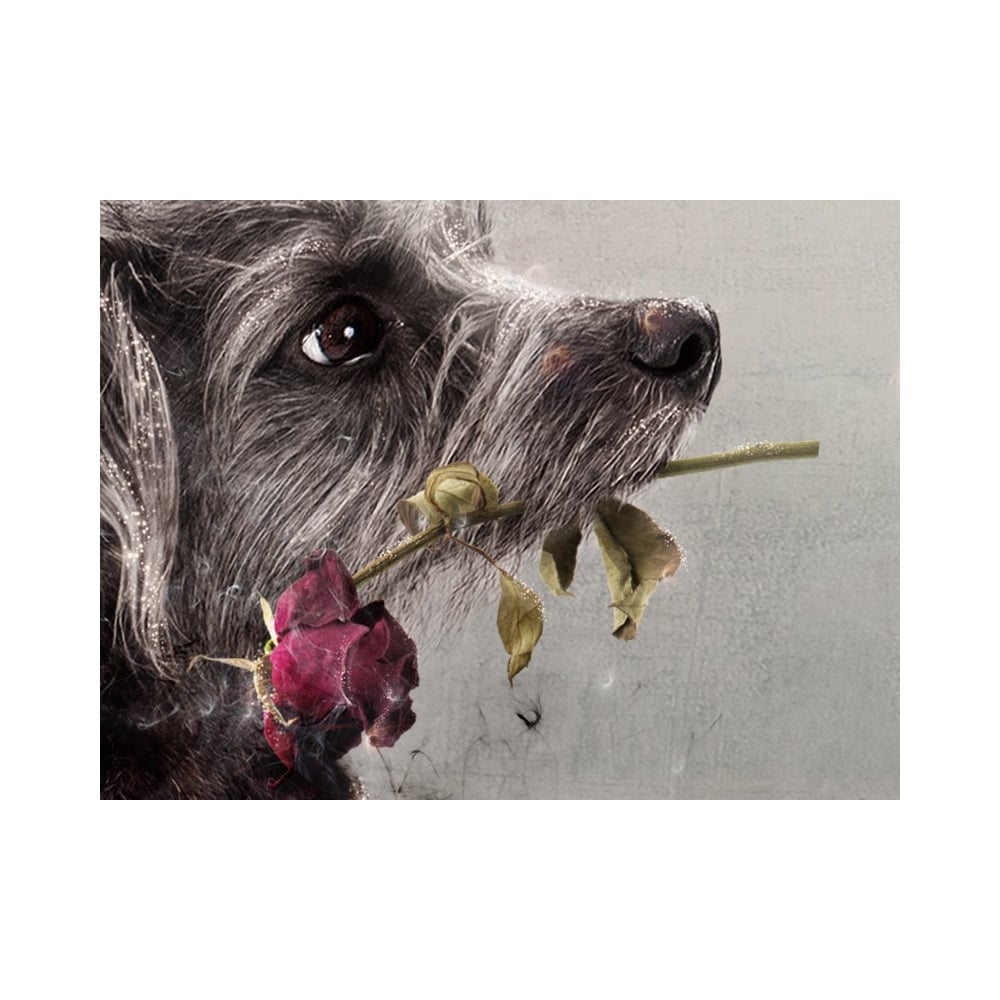 I'd Give My Last Meatball (Lady & The Tramp)