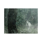 Deliver Us From Evil (Narnia)