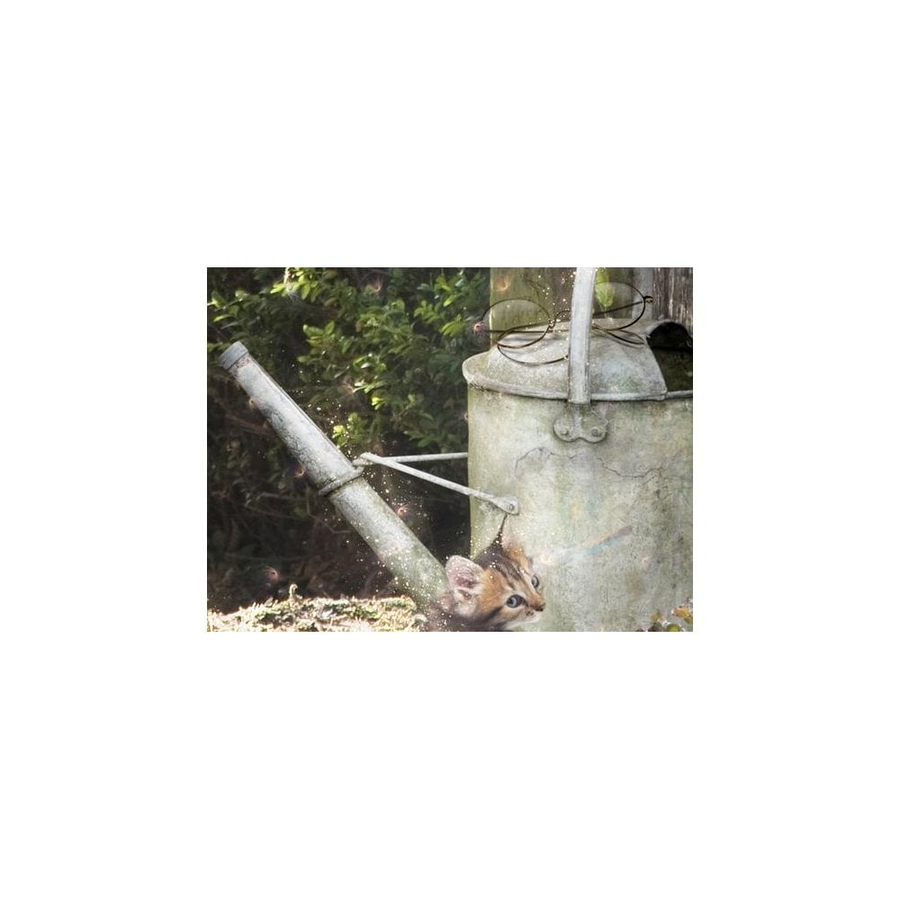 A Picture Of Hope - Peter Rabbit (Small)