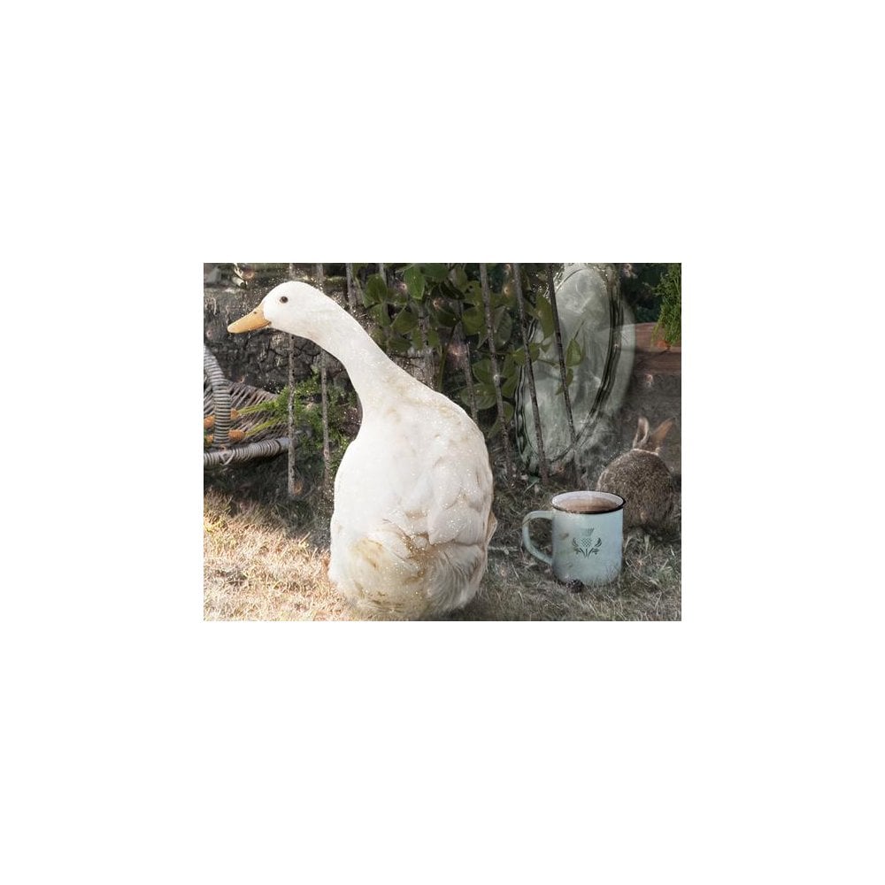 A Picture Of Hope - Peter Rabbit (Small)