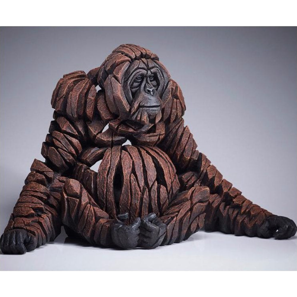 Orangutan