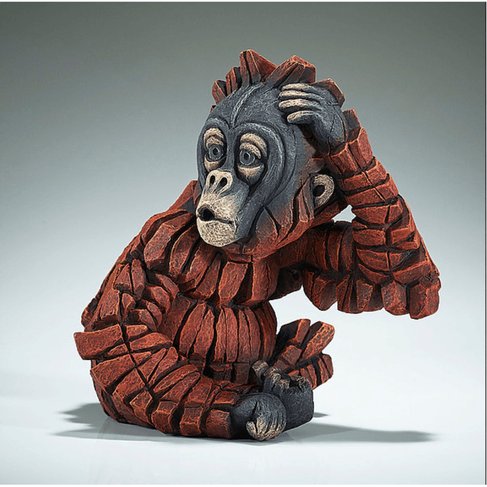 Baby Oh Orangutan