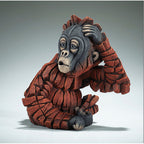 Baby Oh Orangutan