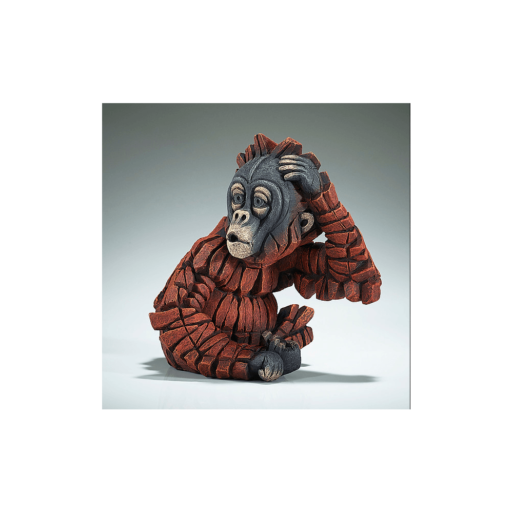 Baby Oh Orangutan