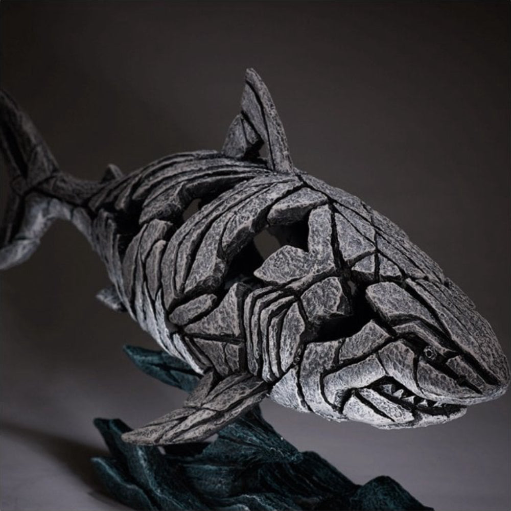 Gen Shark Shark – Generation Gallery