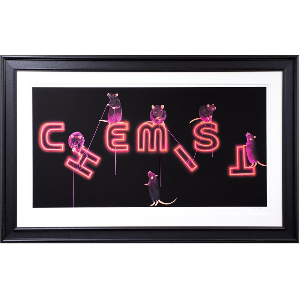 Rats Fixing The Chemist