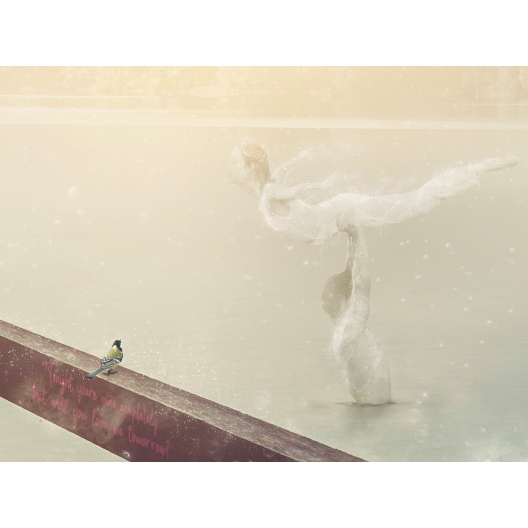 The Time of My Life (Dirty Dancing - large)