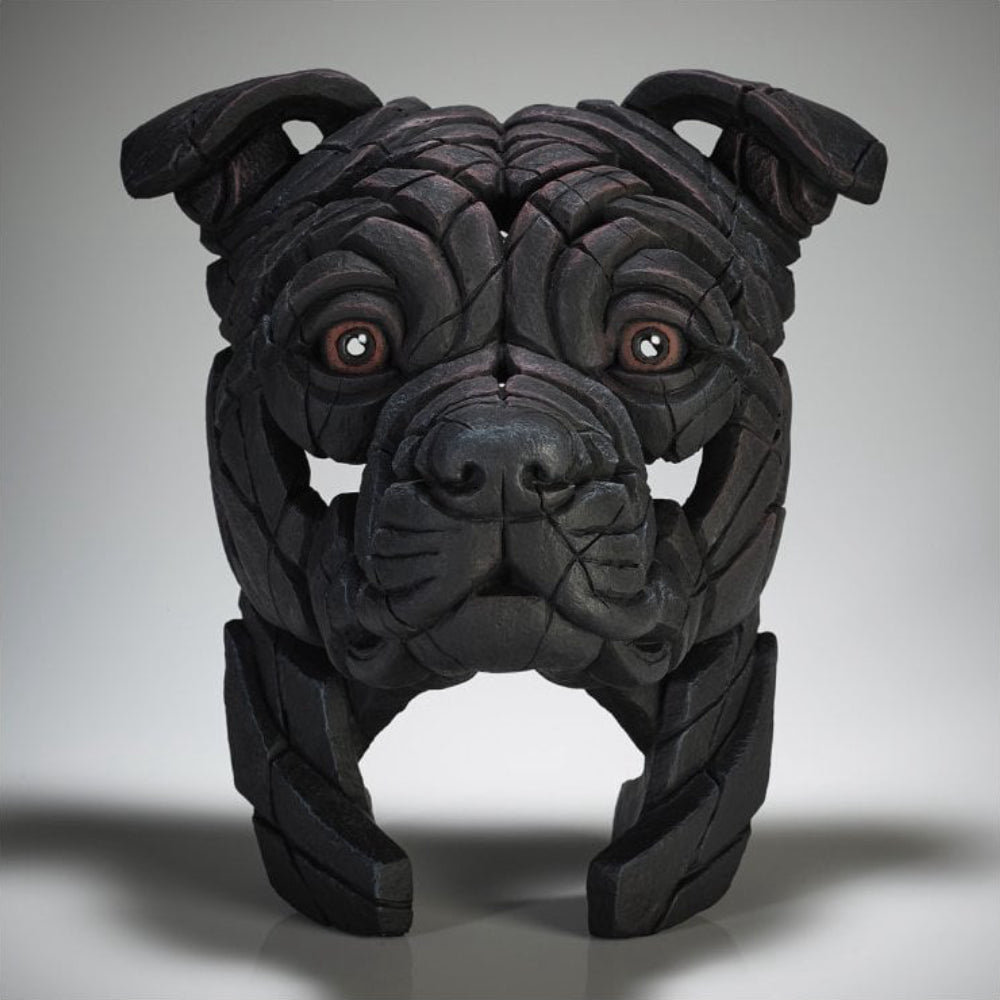 Staffordshire Bull Terrier (Black)