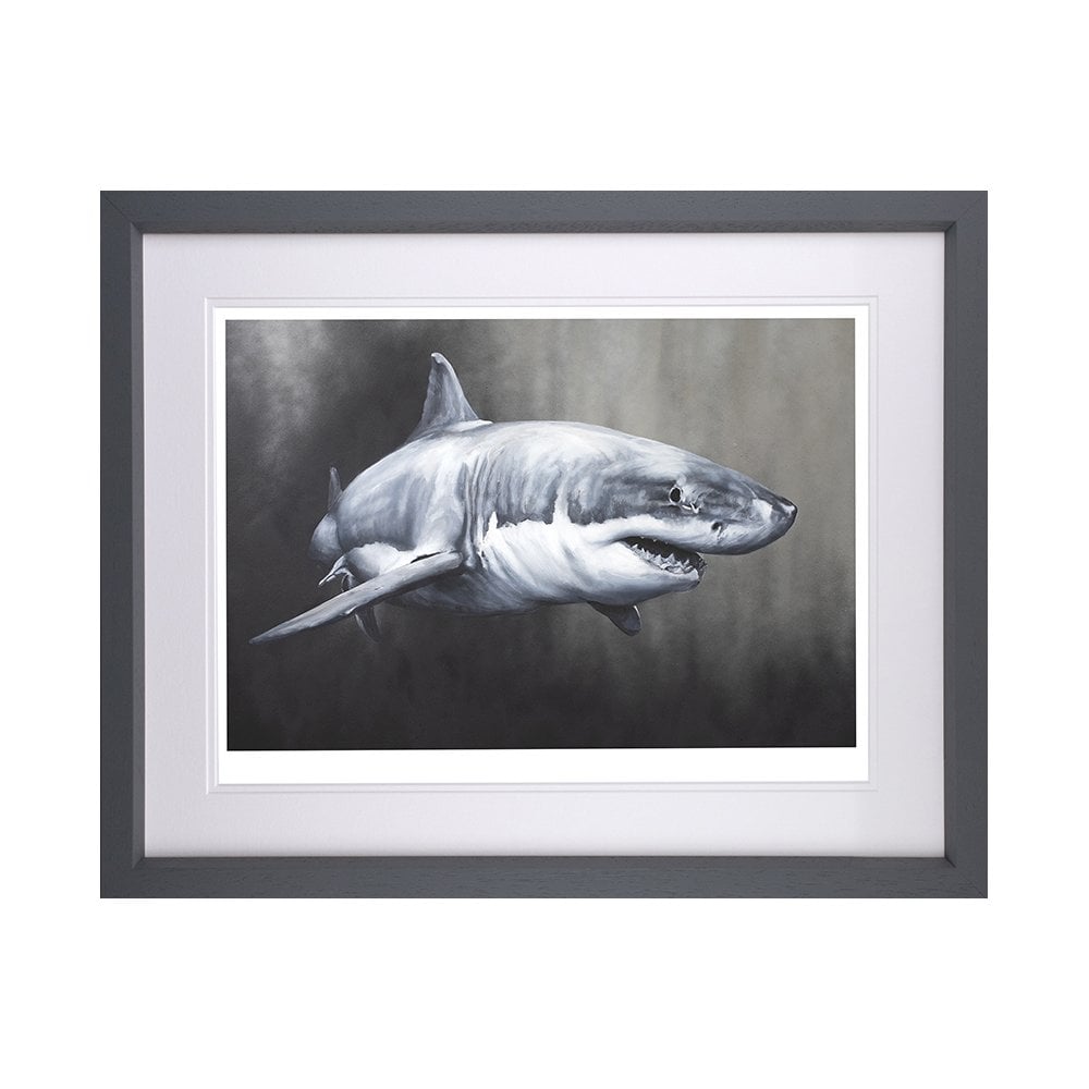 Carcharodon Charcharias