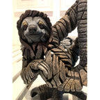 Three Toed Sloth