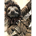 Three Toed Sloth