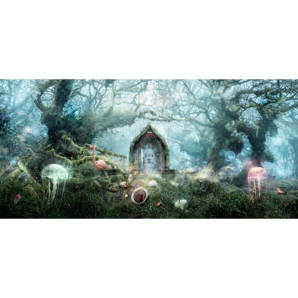 The Open Door (Alice in Wonderland- standard size)
