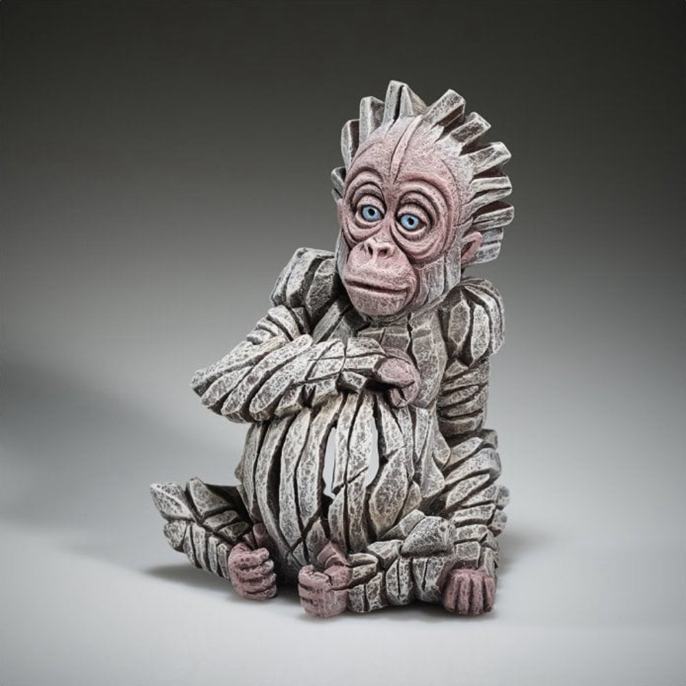 Baby Orangutan - Alba