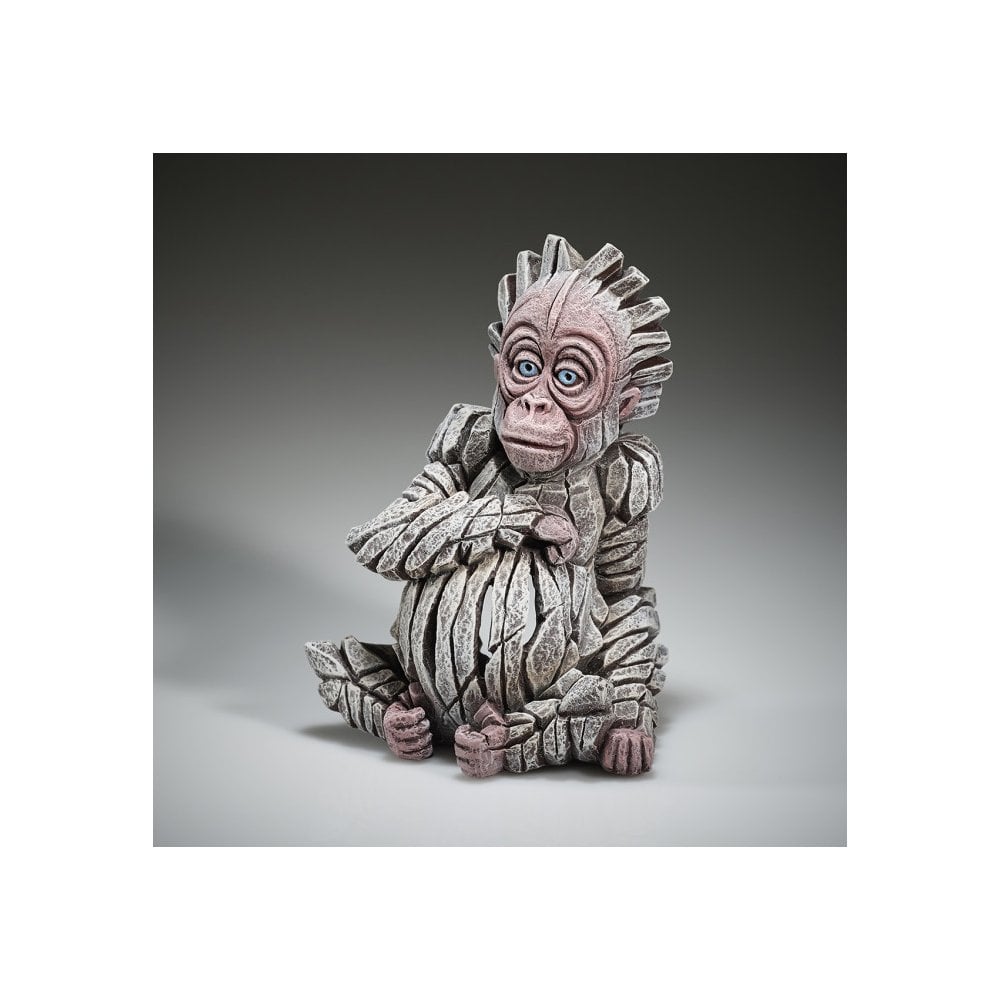 Baby Orangutan - Alba