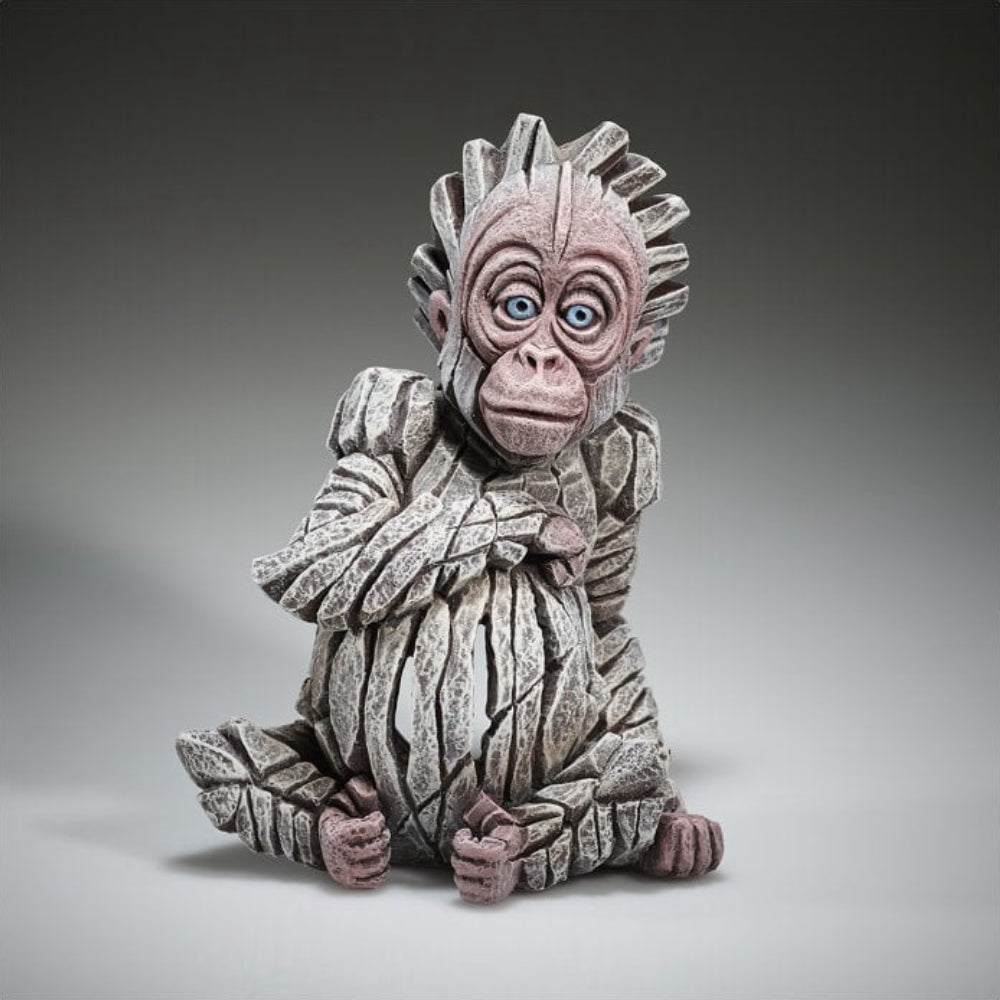 Baby Orangutan - Alba