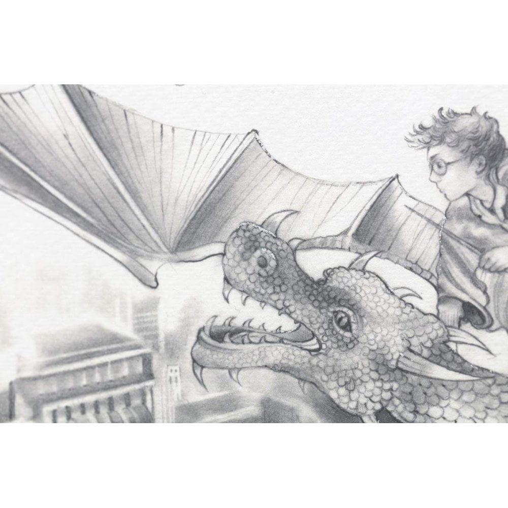 Flight Over St. Paul - Standard Edition