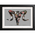 Floral Rams Head