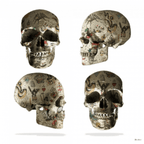 Four Skulls