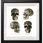 Four Skulls