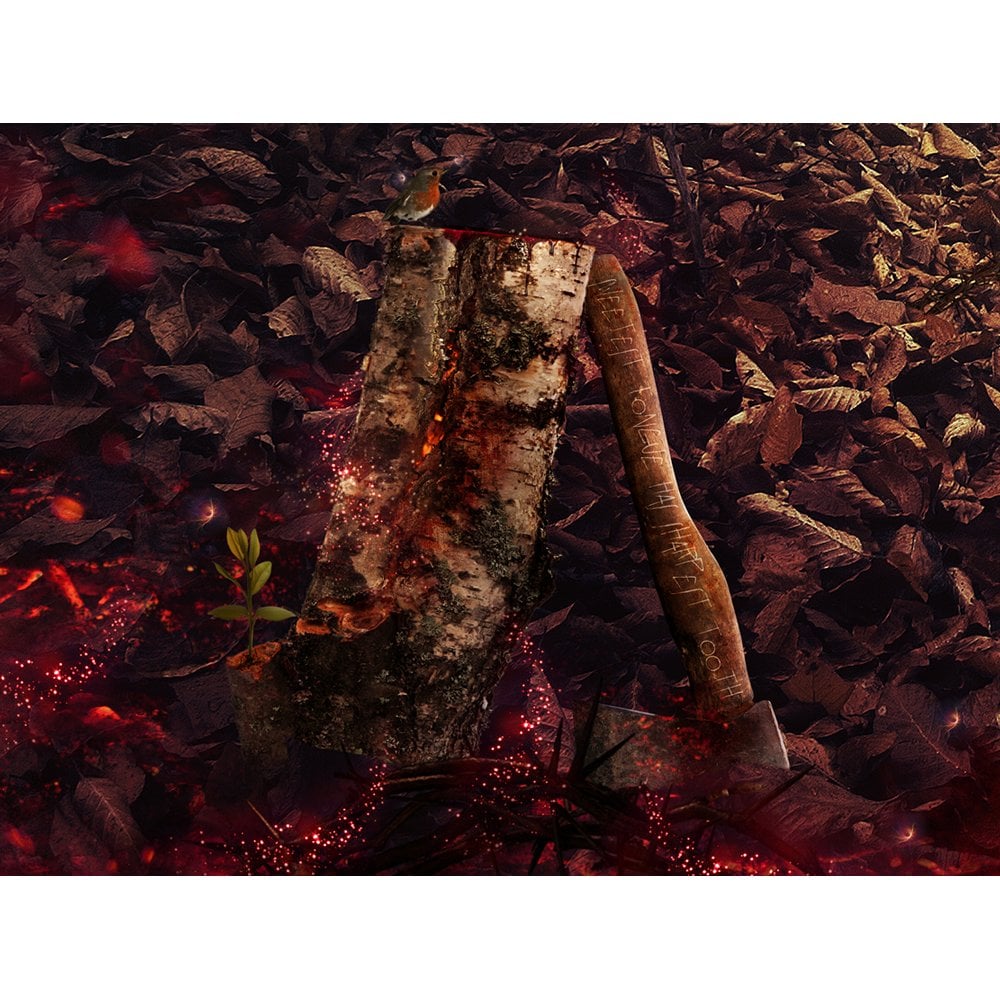 'Fight or Flight' - Little Red Riding Hood (Large Paper Edition)