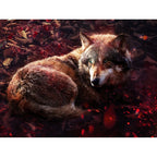 'Fight or Flight' - Little Red Riding Hood (Large Paper Edition)