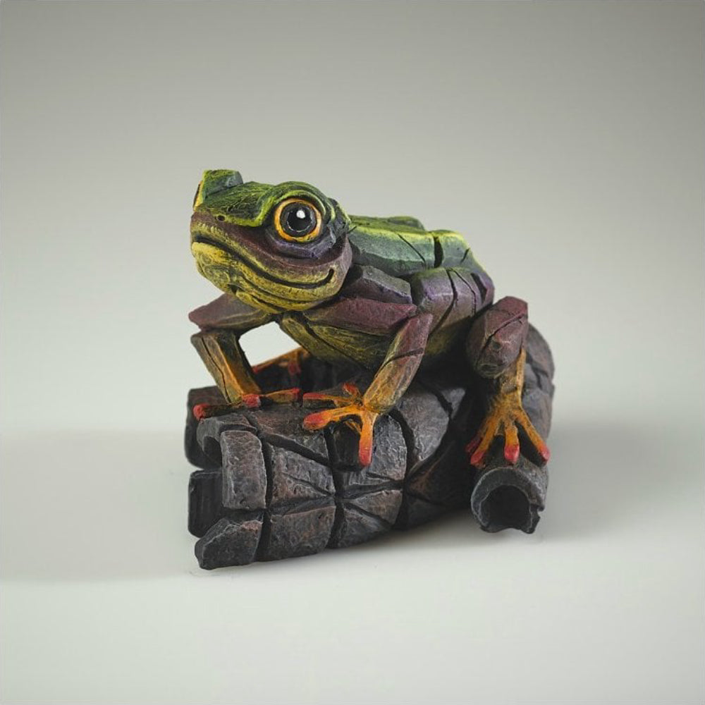 African Tree Frog - Rainbow Green