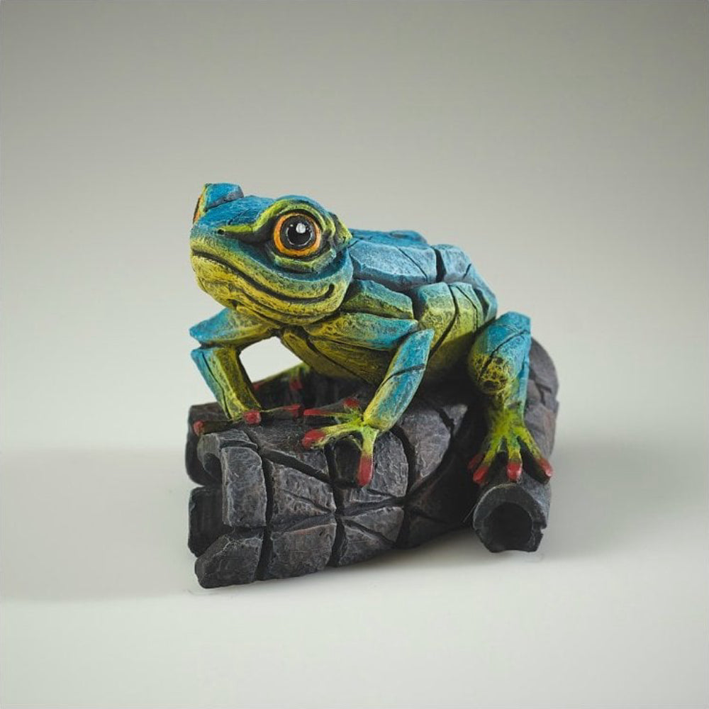 African Tree Frog - Blue/Yellow