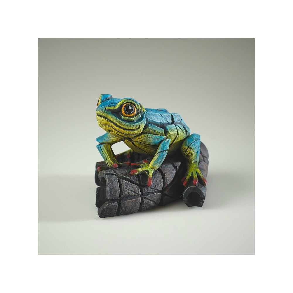 African Tree Frog - Blue/Yellow