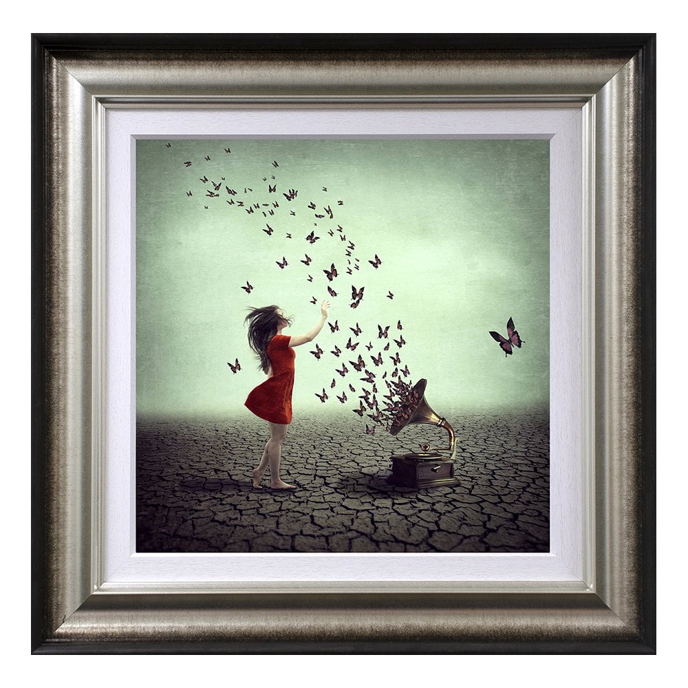 A Melody That Flies