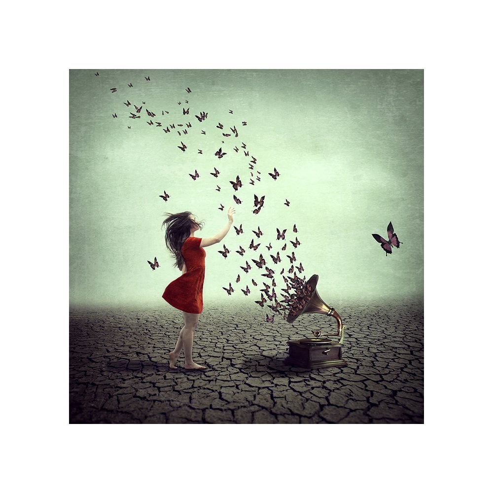 A Melody That Flies (Deluxe)