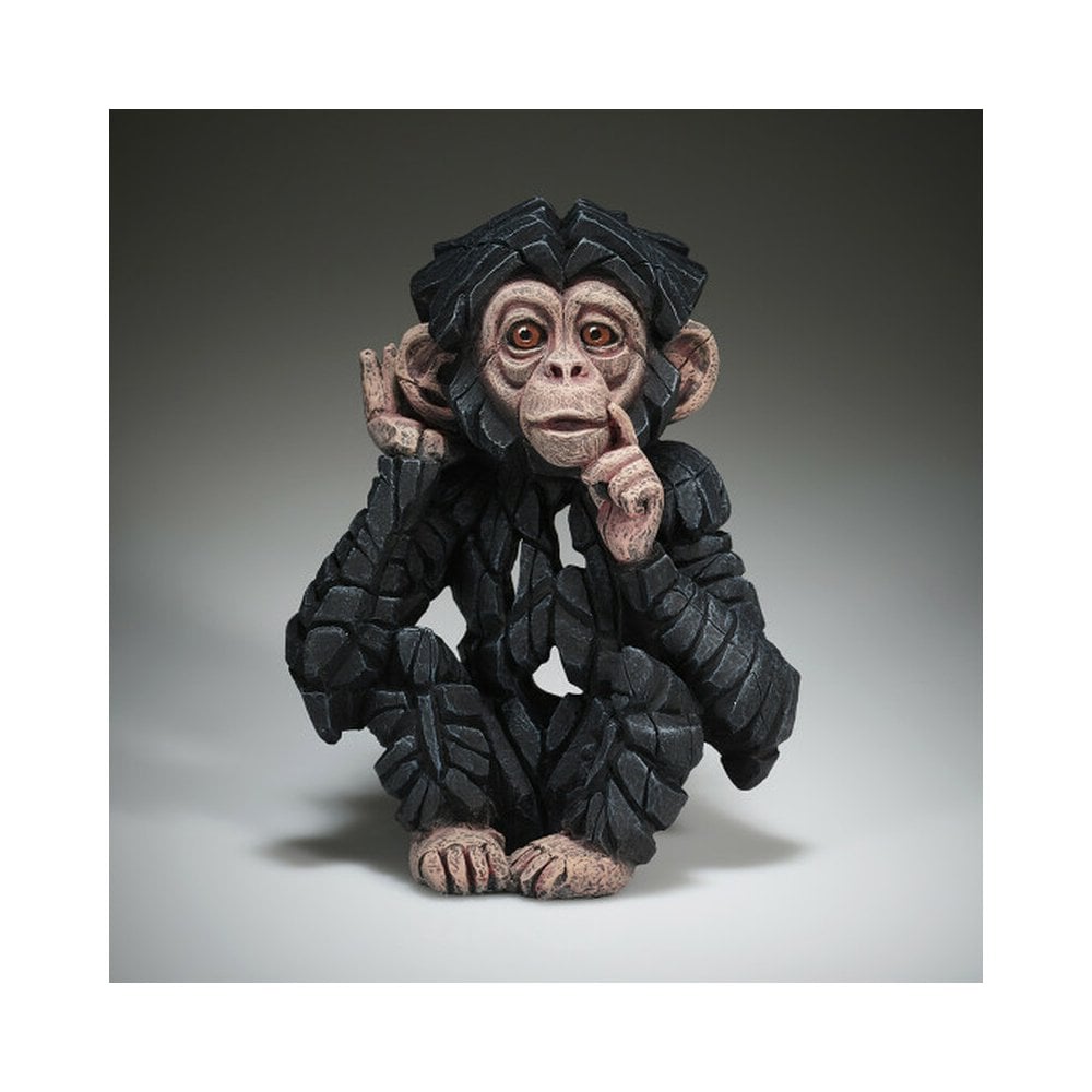 Baby Chimpanzee - 'Hear No Evil'