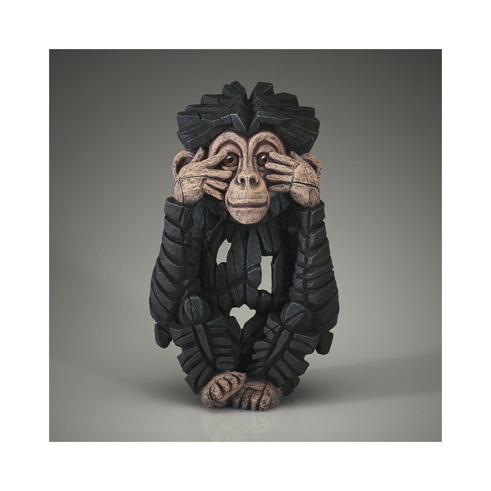 Baby Chimpanzee - 'See No Evil'