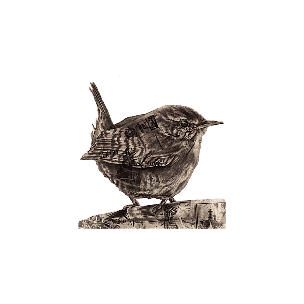 Larks & Landed Gentry