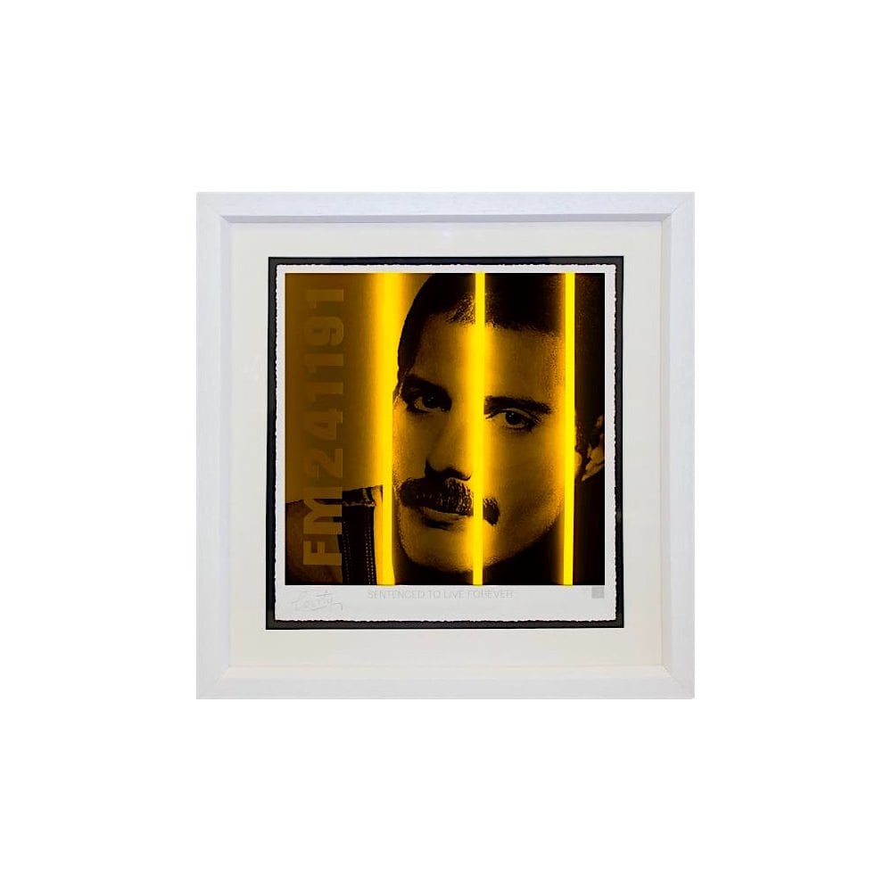 Freddy Mercury - Life Series
