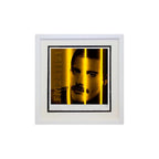 Freddy Mercury - Life Series