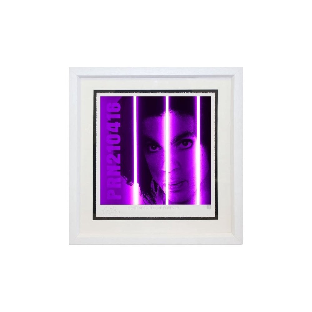 Prince - Life Series