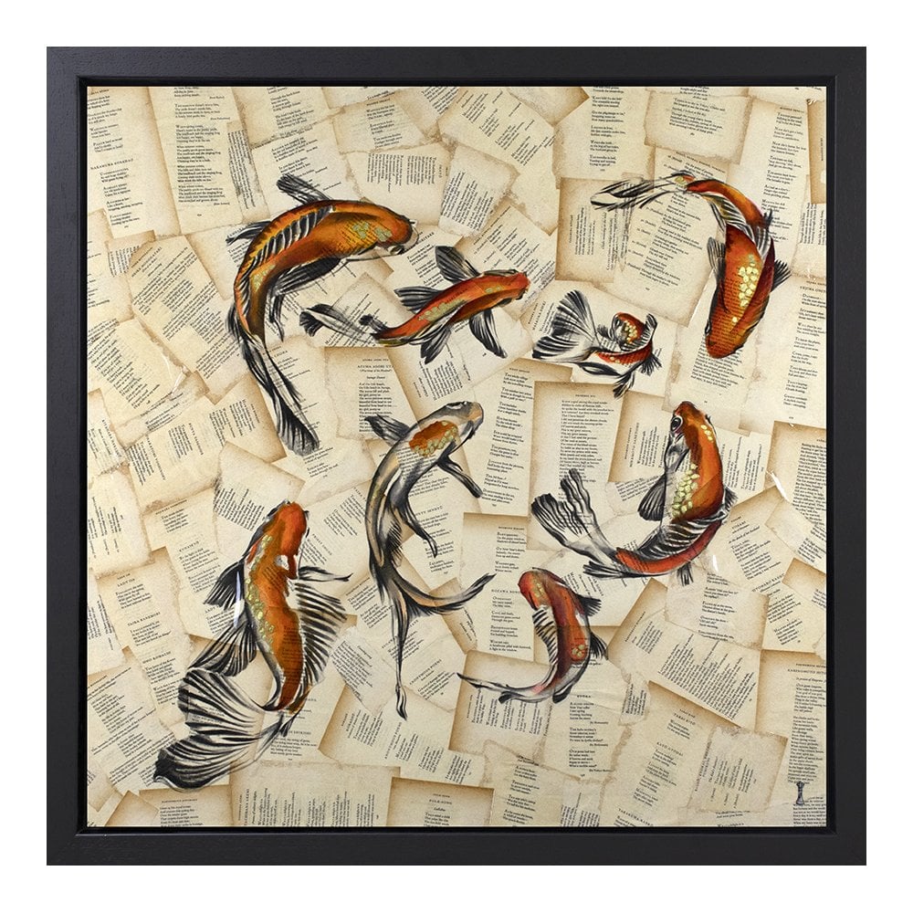 The Pond - Koi Carp