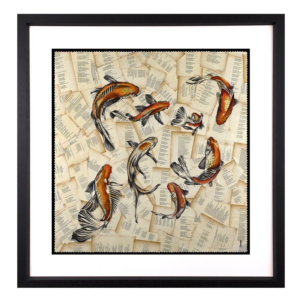 The Pond - Koi Carp