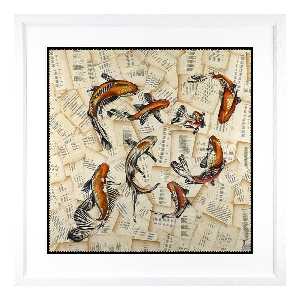 The Pond - Koi Carp