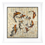 The Pond - Koi Carp