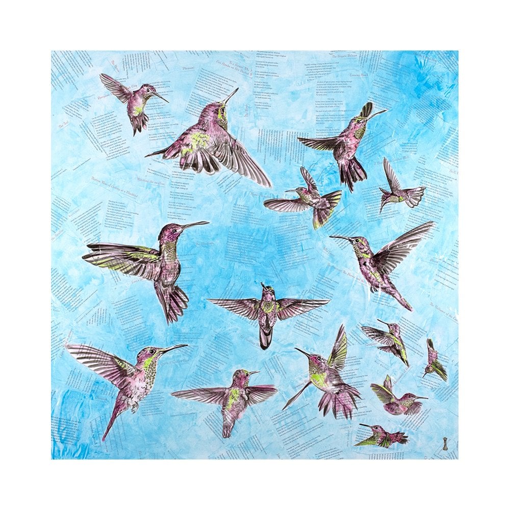 The Breeze - Hummingbirds