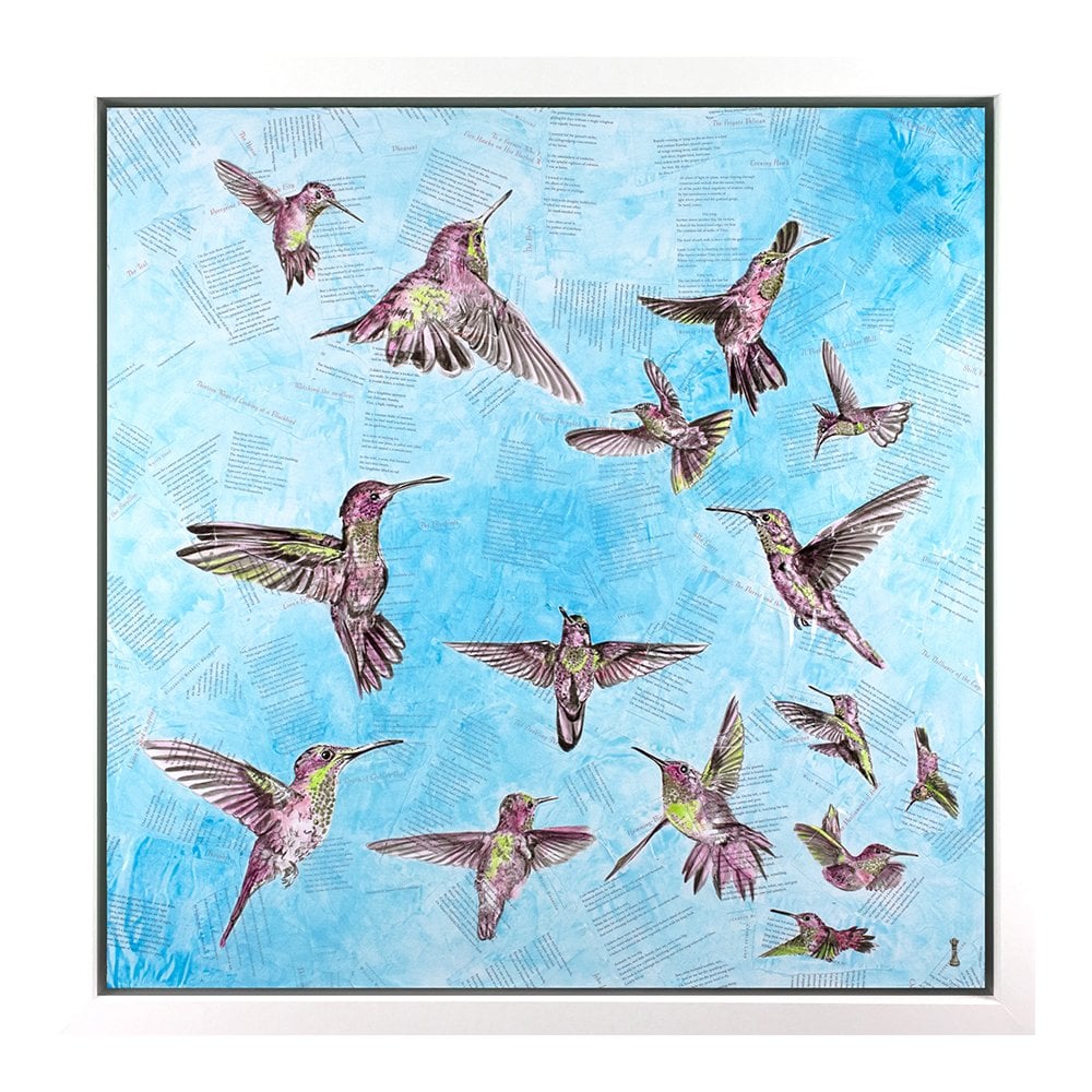 The Breeze - Hummingbirds