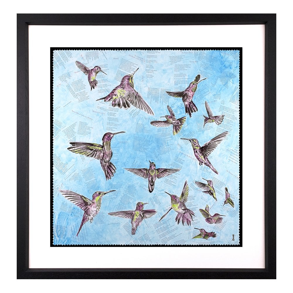 The Breeze - Hummingbirds