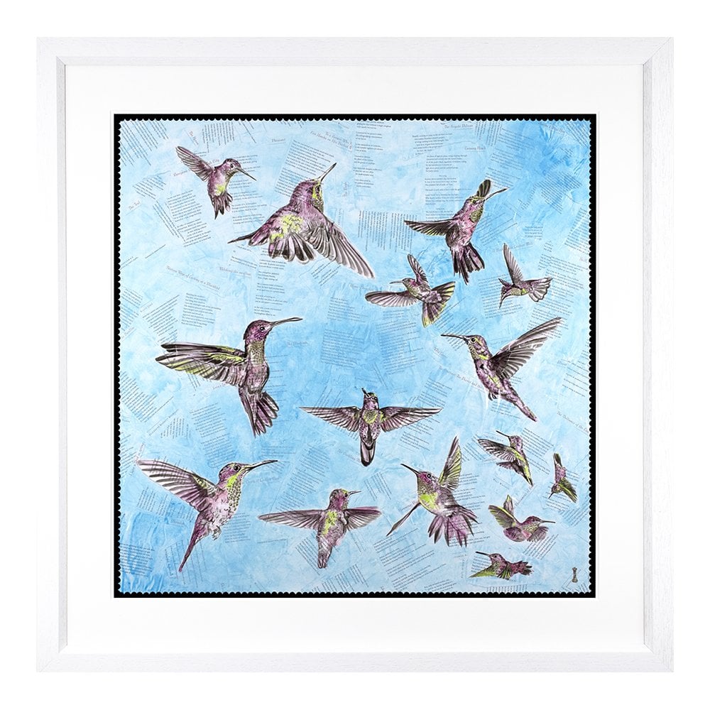 The Breeze - Hummingbirds